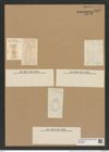 Xanthiopyxis oblonga Ehr. (de-Toni-Nr.: Genus 190, Species 4709) Zeichnungen Sammlung Grunow Nr. 8355 (NHMW-BOT-W0377769)